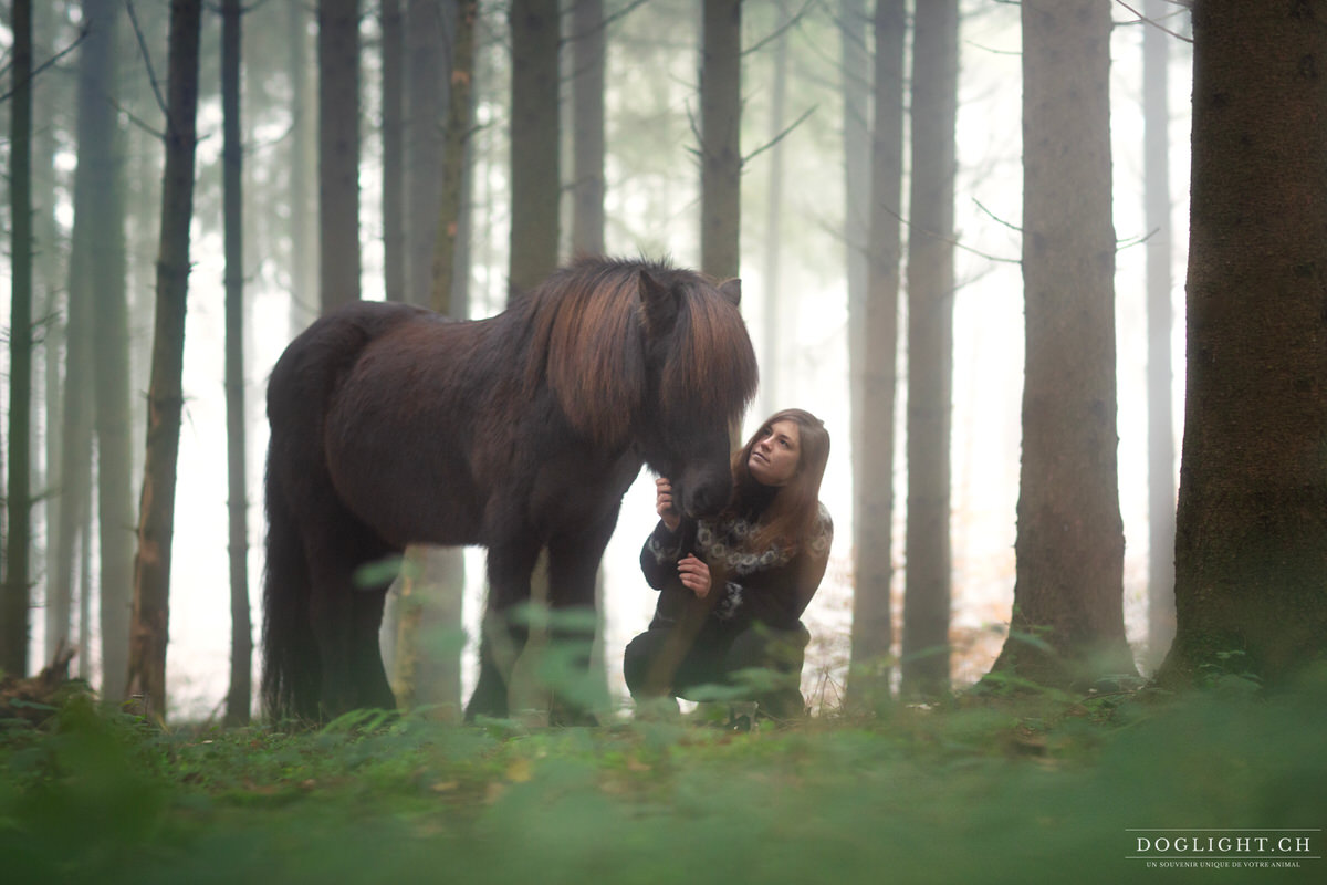 Cheval islandais et cavalière