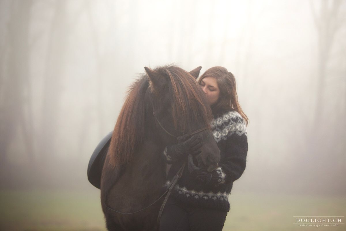 Cheval islandais bisous