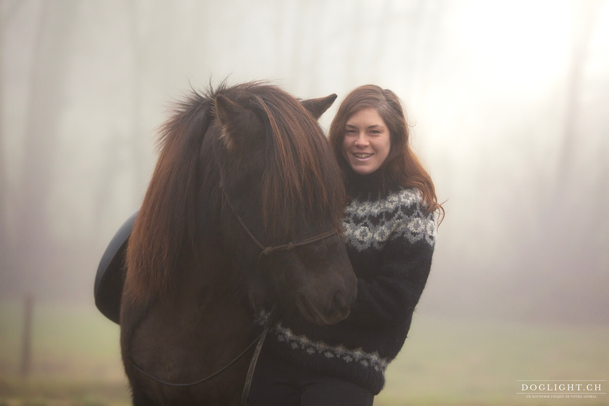 Cheval islandais portrait avec cavalière